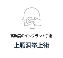 상악동거상술